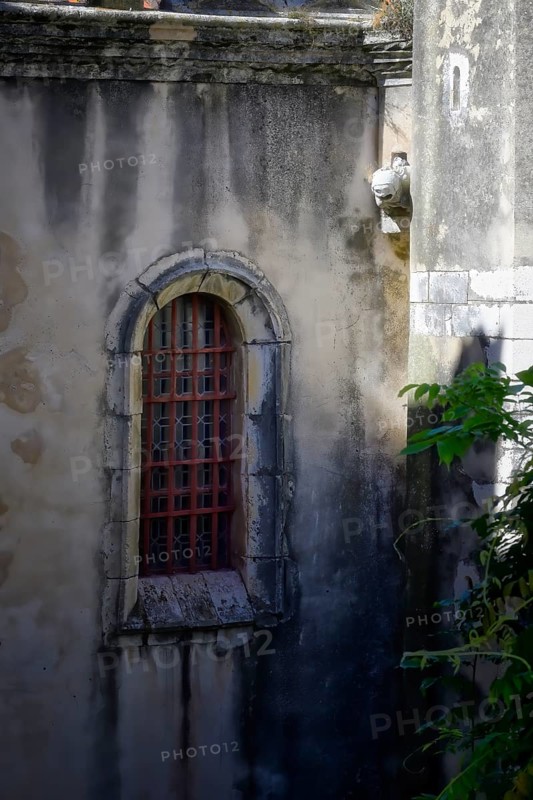 Side Window and Gargoyle