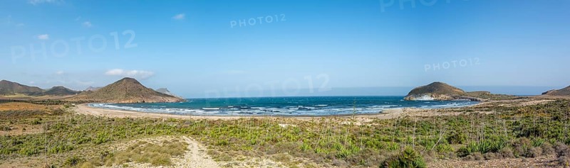 Agaves on the beach