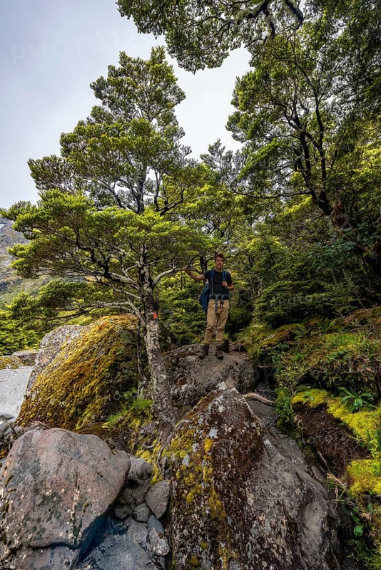 Hiker on Hiking Trail