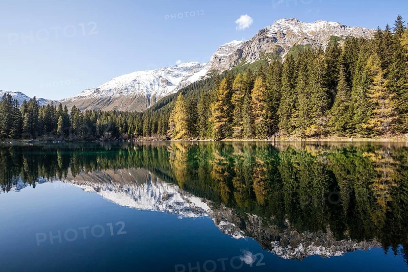 Autumnal larch forest at Obernberger See