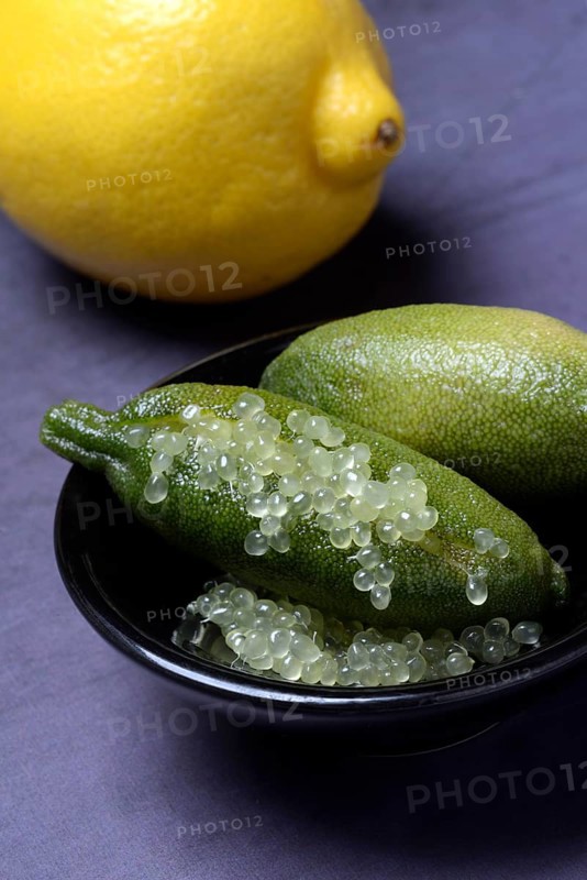 Australian finger lime