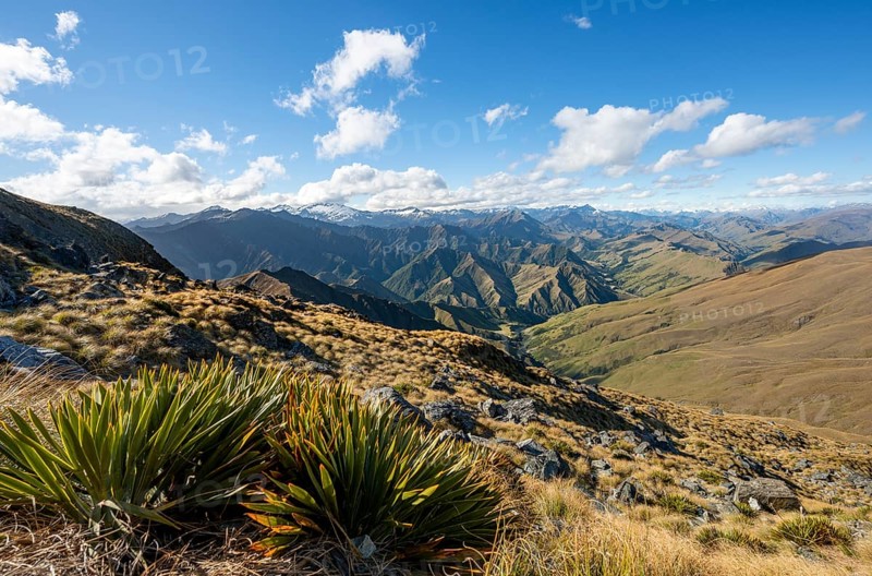Hiking trail to Ben Lomond