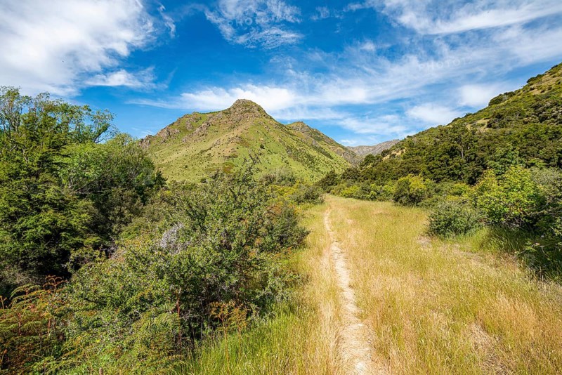 Hiking trail in the valley of Grandview Creek