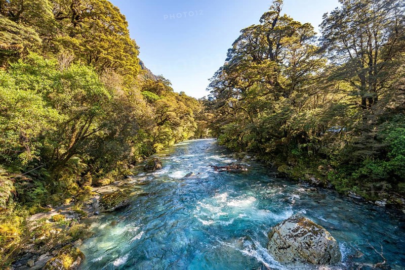 Hollyford River