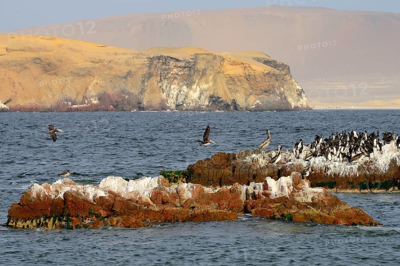 Bird Island in Paracas National Reserve
