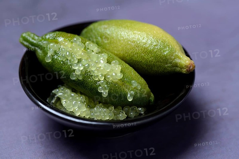 Australian finger lime