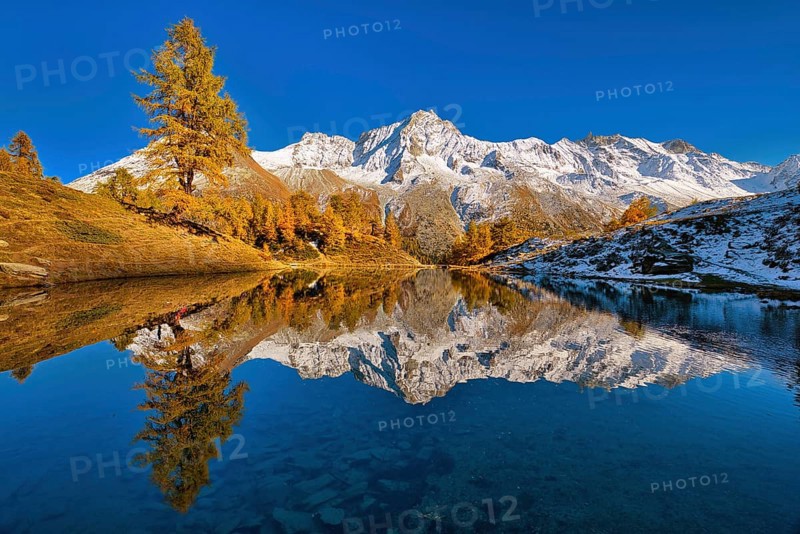 Lac Bleu with autumn coloured larch