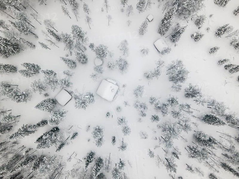 Aerial view of houses in the forest in winter