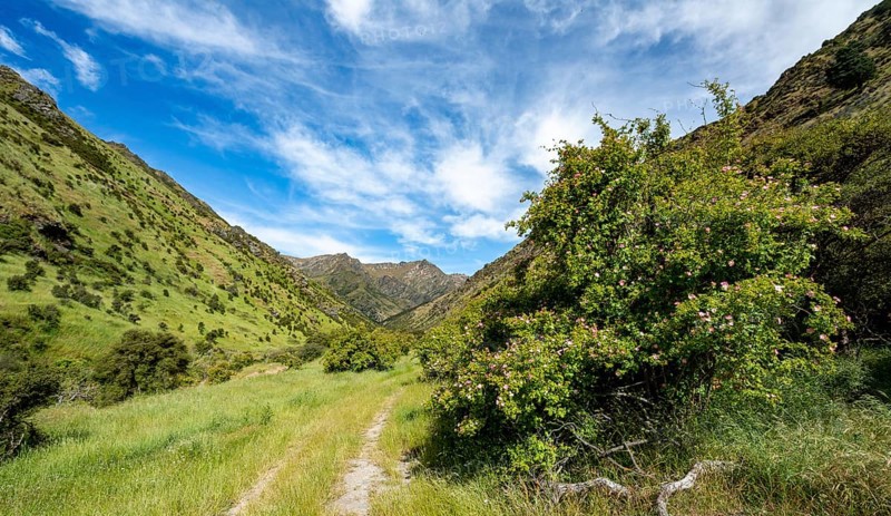 Hiking trail in the valley of Grandview Creek