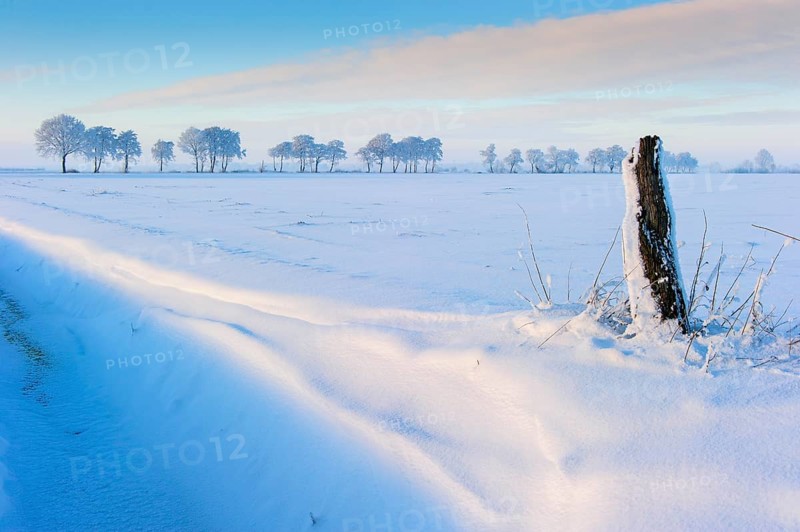 Winter day in the snowy Feldmark