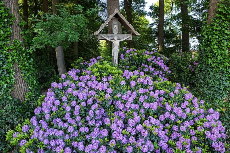 Way Cross with Alpine Roses