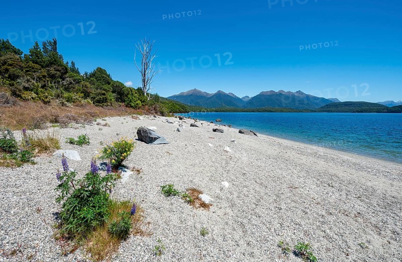 Beach at the lake