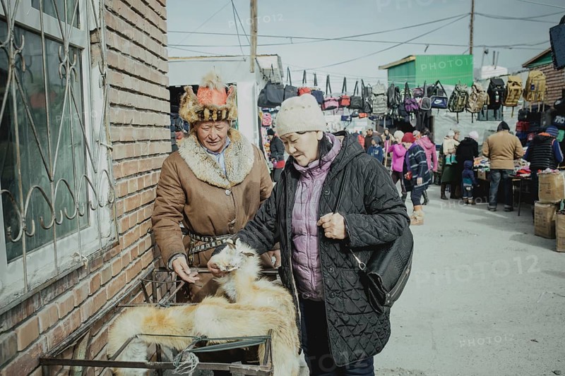 Eagle hunter Bashakhan Spai at the bazaar selling his fox furs