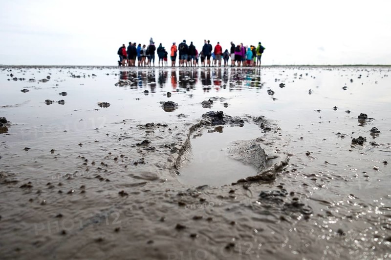 Footprints in the mudflats