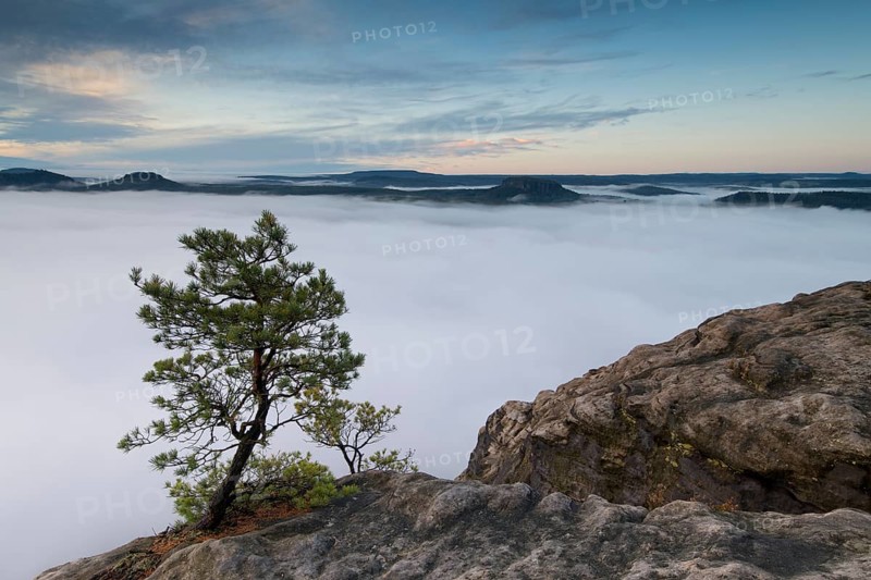 Fog in the Elbe Valley