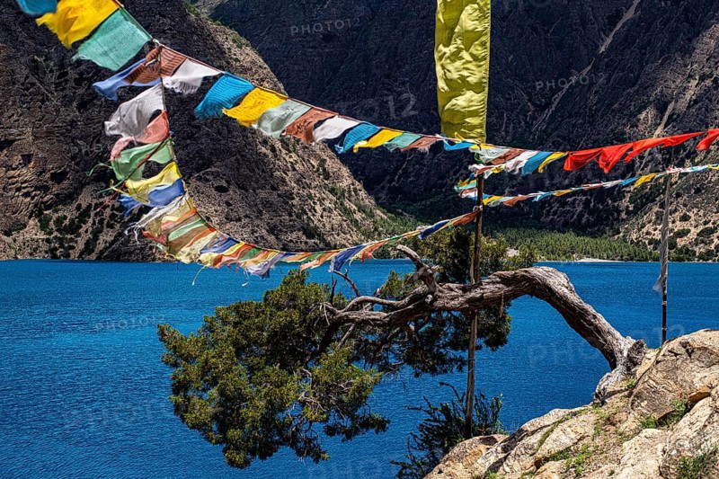 Lake Phoksundo with Buddhist prayer flags and wind shaped tree