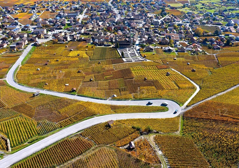 Hairpin bend of a country road runs through the autumn vineyards in the Valais wine growing region of Leytron