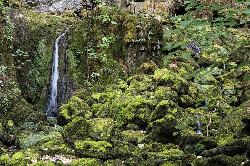 Small waterfall on moss-covered stones