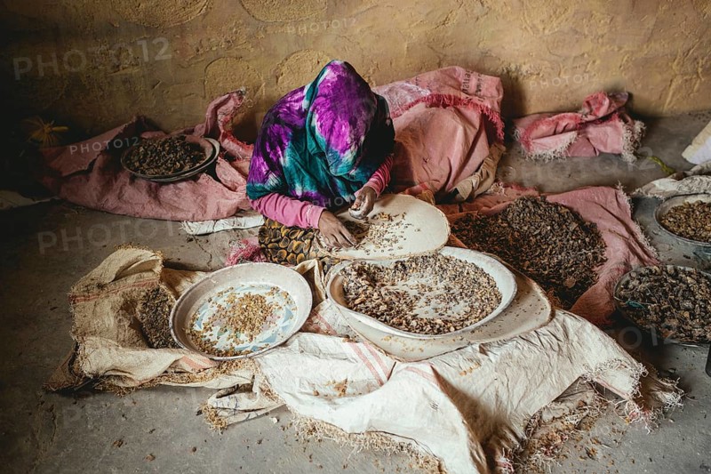 Frankincense dealer