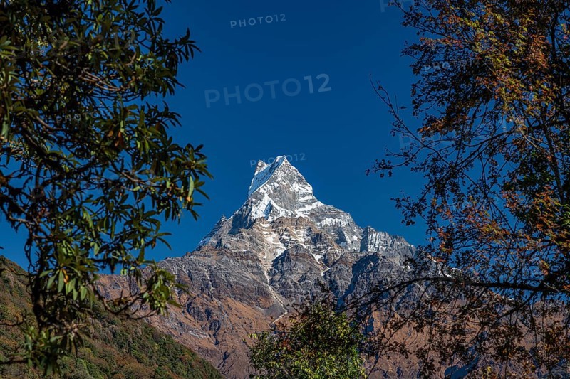 Machapuchare