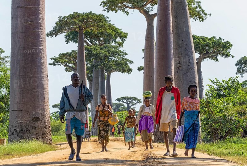 People on Baobab Alley
