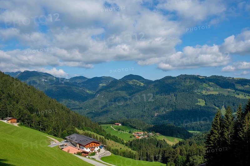 Farm Oberstein am Erlerberg