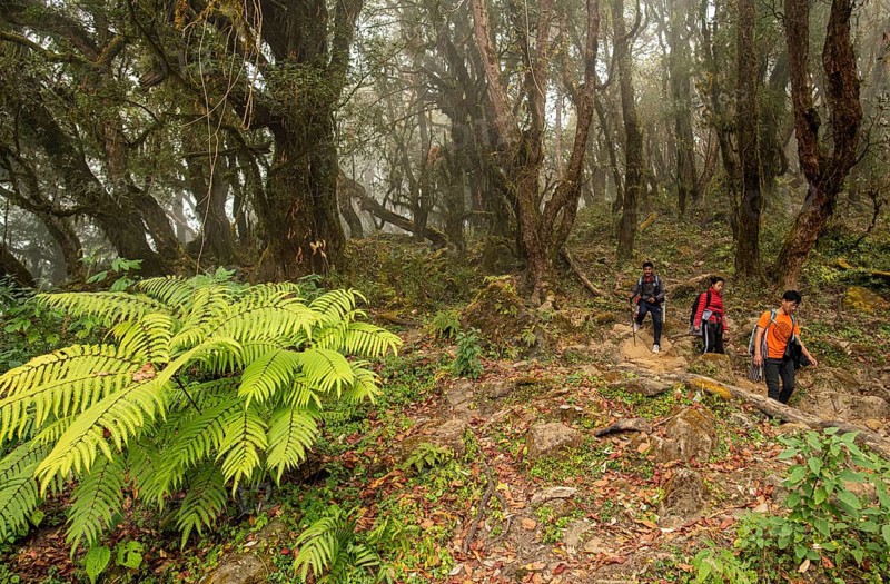 Native hikers