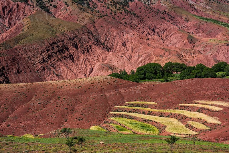 Erosion landscape with small fields