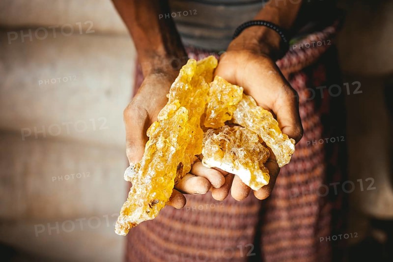 Asli Maidi Warehouse