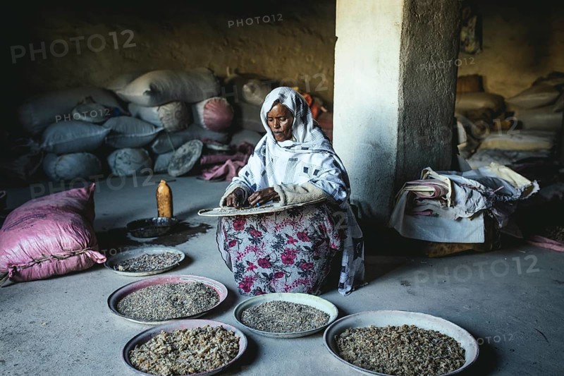 Incense dealer in Erigavo