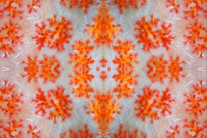 PHOTOMONTAGE