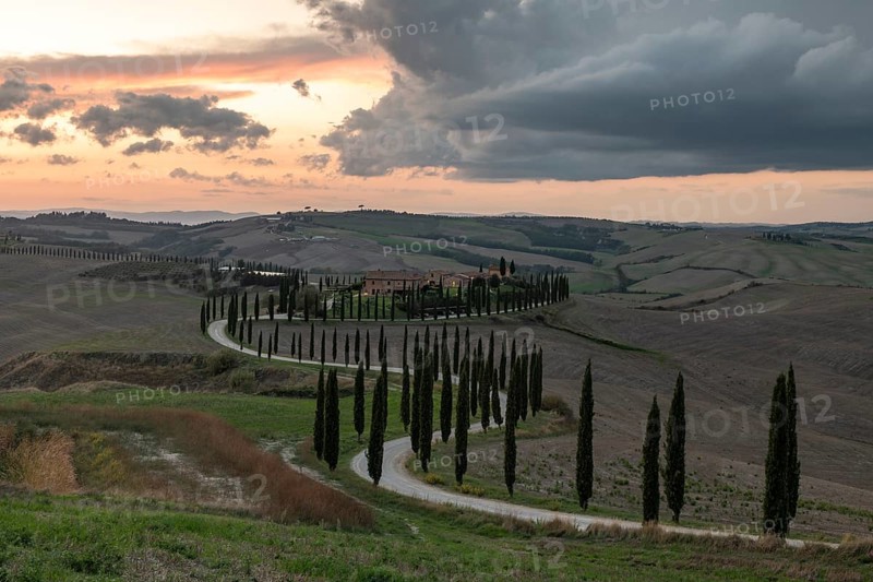 Agriturismo Baccoleno with cypress avenue