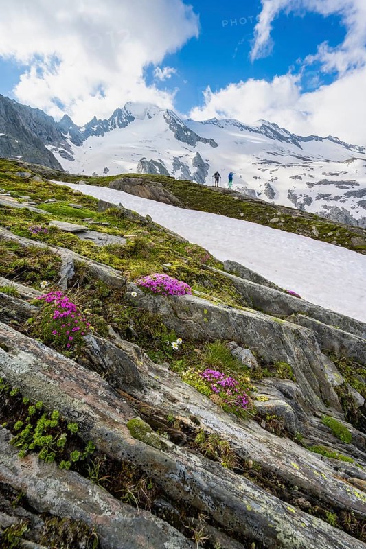 Hikers in front of snow-covered mountains