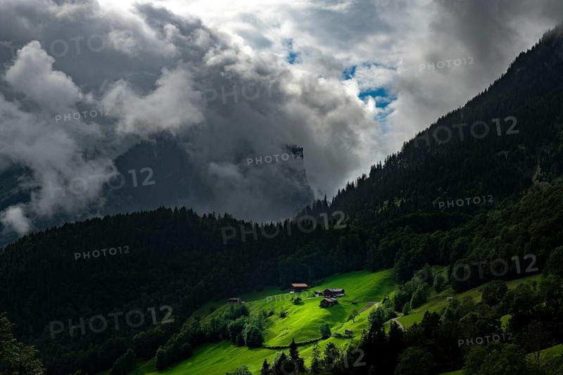 Mountain huts in sunny spot on mountain meadow with mountain forest behind