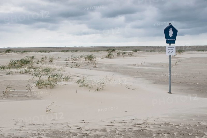 Beach landscape