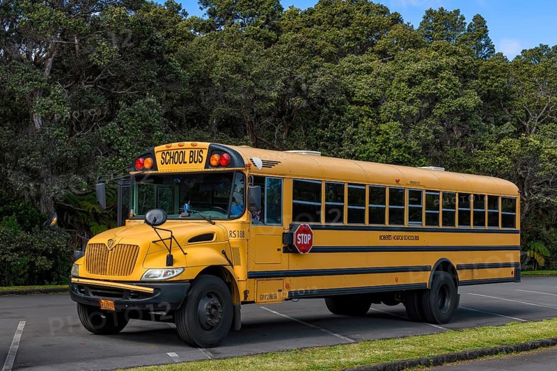 School bus