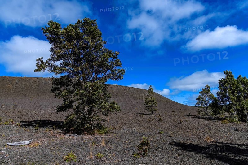 Lonely landscape at Devastation Trail