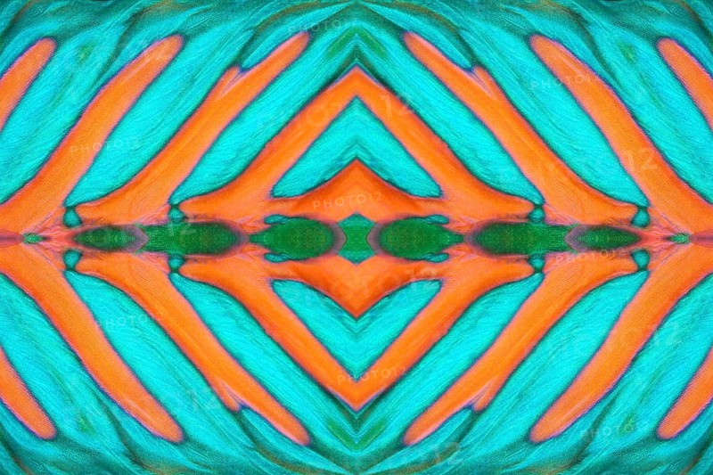 PHOTOMONTAGE