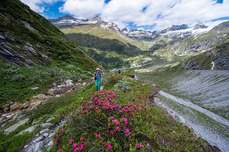 Hiker on the ascent to the Schoenbichler Horn from the Berliner Huette
