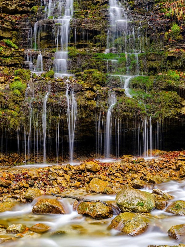 Small cascades flow over a moss-covered rock face