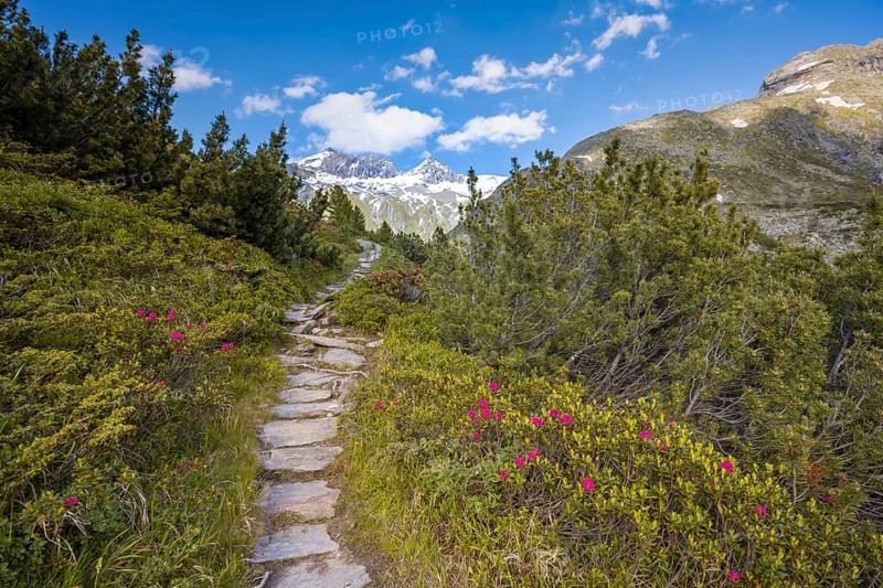 Hiking trail