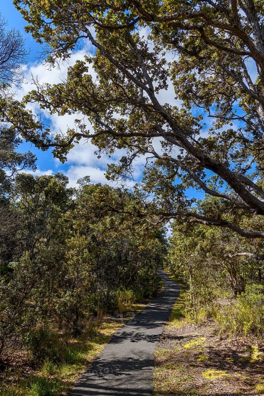 Devastation Trail