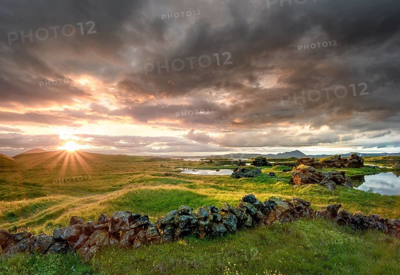 Stone wall and lava formations of volcanic rock rise from green meadows with dramatic sky and sun star in the evening light at Kalfastroend