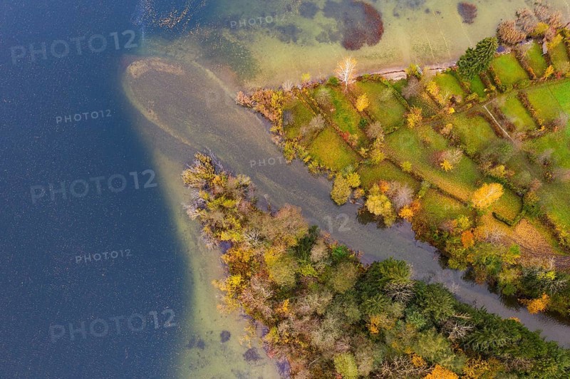 River delta of the Wangauer Ache into the Mondsee with autumnally discoloured mixed forest