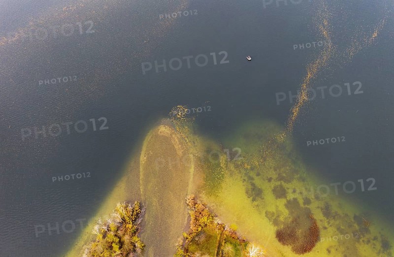River delta of the Wangauer Ache into the Mondsee with autumnally discoloured mixed forest