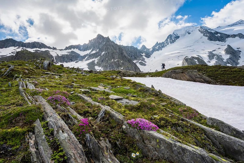 Hikers in front of snow-covered mountains