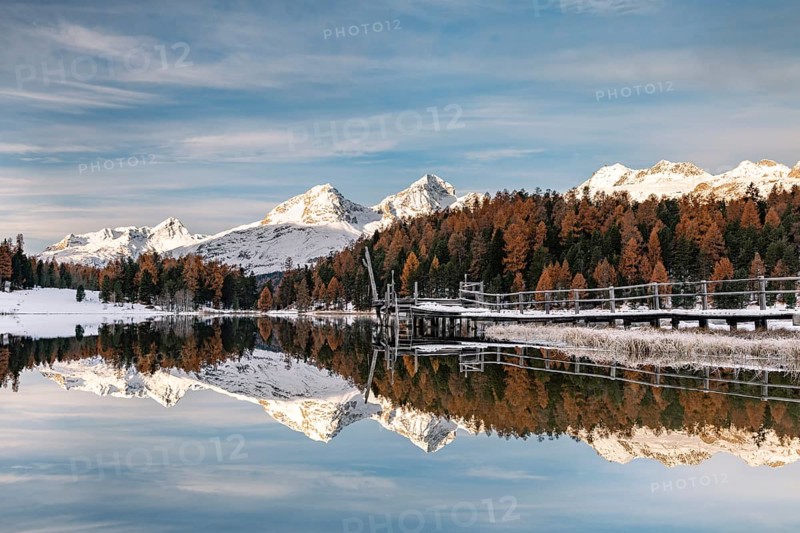 Autumnal larches with snow-covered mountain peaks are reflected in Lake Staz