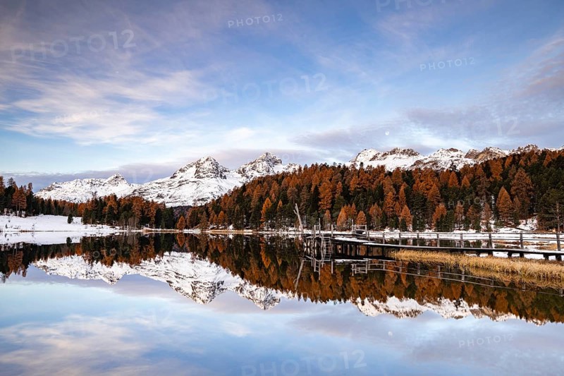 Autumnal larches with snow-covered mountain peaks are reflected in Lake Staz