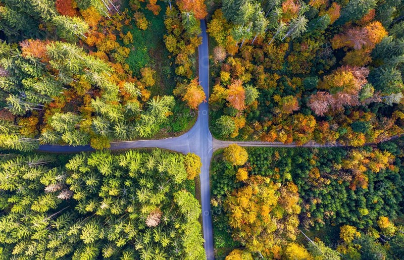 Crossroads in the autumnal forest near Reichertshausen