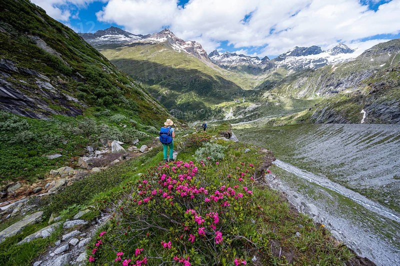 Hiker on the descent from the Schoenbichler Horn to the Berliner Huette